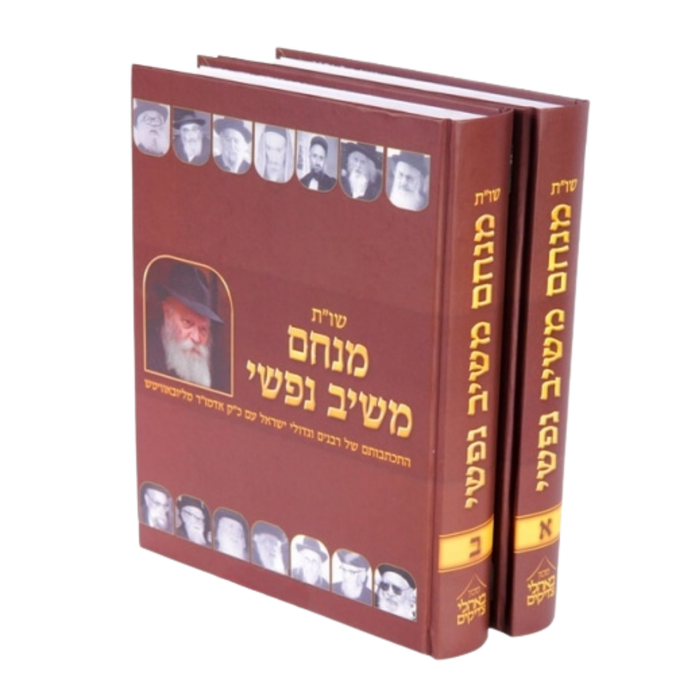 שו"ת מנחם משיב נפשי - 2 כרכים