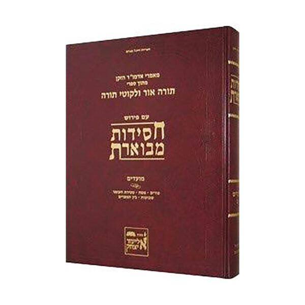 חסידות מבוארת - מועדים