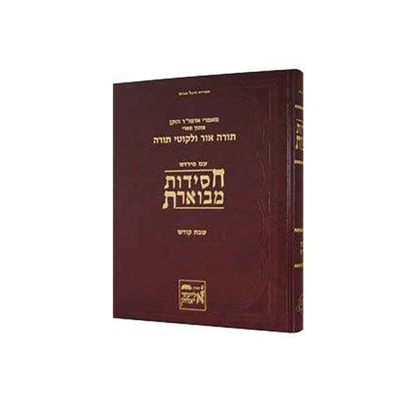חסידות מבוארת - שבת קודש