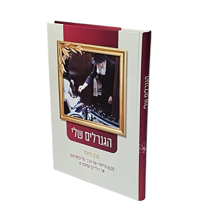 הגנרלים שלי - מבטו המיוחד של הרבי לילדים המיוחדים