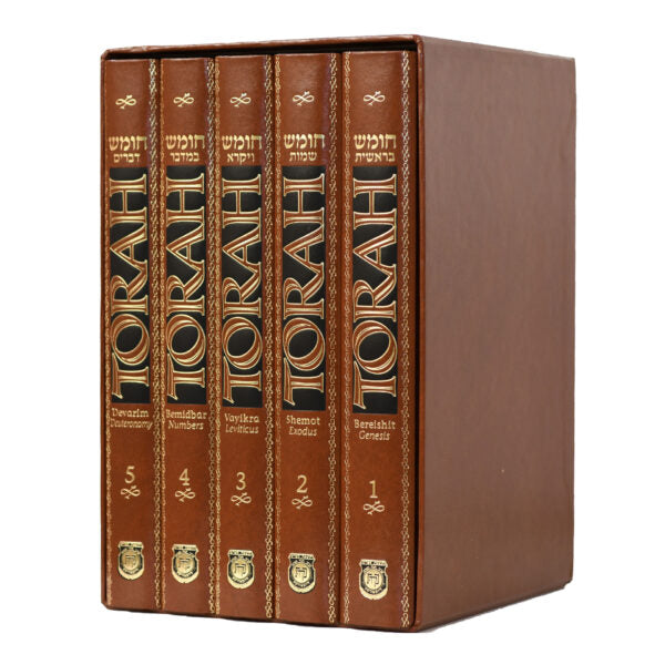 חמשה חומשי תורה באנגלית | Torah Chumash 5 Vol's in Slipcase